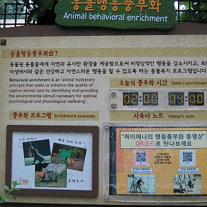 enrichment sign for striped hyaena
