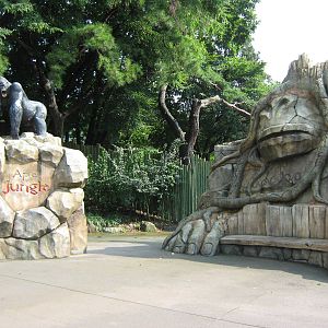 outside the Ape Jungle
