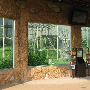 viewing point for the chimp enclosure