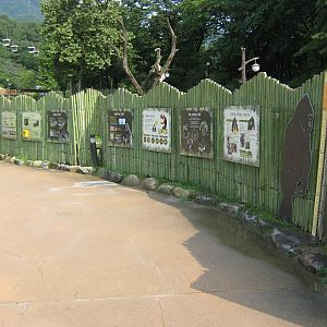 signage leading up to the gorilla enclosure
