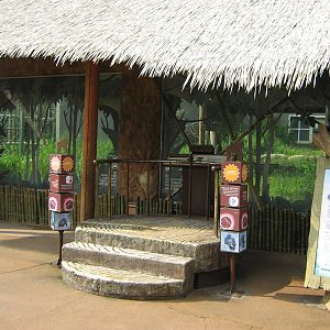 viewing point for the gorilla enclosure