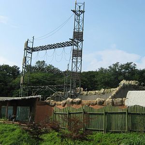 climbing tower in Ape Jungle