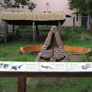 enclosure for giant anteaters