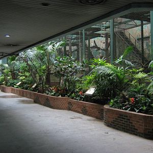 inside the South American house