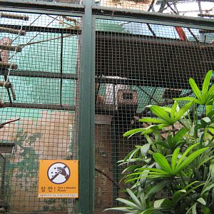 coati cage