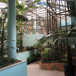 inside the South American house