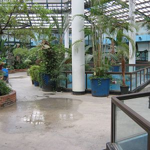 inside the South American house