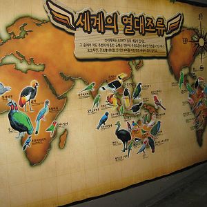 world map inside the Bird House