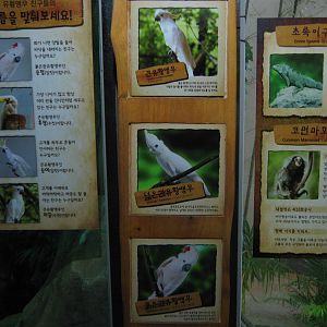 cockatoo signage in the Bird House