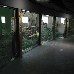 inside the Bird House