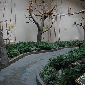 walk-through lorikeet aviary in the Bird House