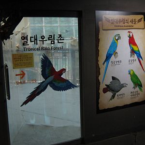 entrance to the walk-in macaw aviary in the Bird House