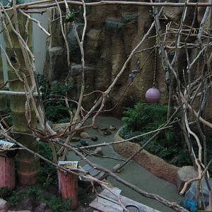 walk-in macaw aviary in the Bird House