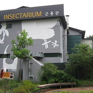 Insectarium