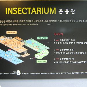 plan of the Insectarium