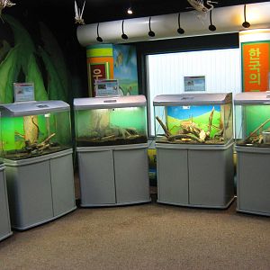 beetle tanks in the Insectarium