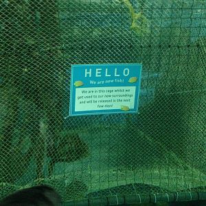 New Arrivals at Blue Planet Aquarium - 05/10/2013