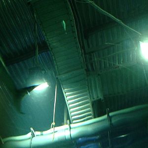 Catwalks Above the Caribbean Reef Exhibit at Blue Planet Aquarium - 05/10/2