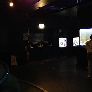 General View of the Reef Magic Section at Blue Planet Aquarium - 05/10/2013