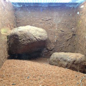 Arachnid Display at Blue Planet Aquarium - 05/10/2013