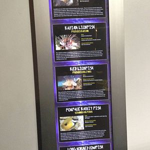 Venomous Fish Signage at Blue Planet Aquarium - 05/10/2013