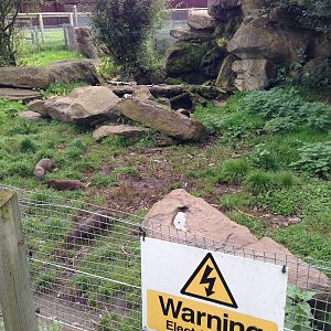 Otter Enclosure at Blue Planet Aquarium - 05/10/2013