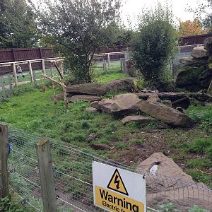 Otter Enclosure at Blue Planet Aquarium - 05/10/2013