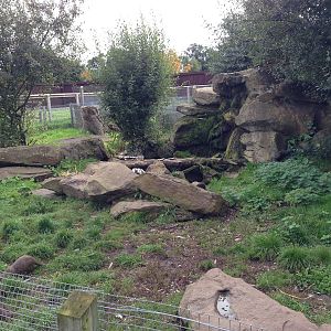 Otter Enclosure at Blue Planet Aquarium - 05/10/2013
