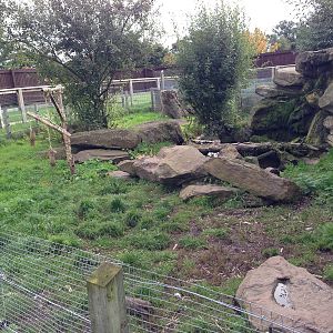 Otter Enclosure at Blue Planet Aquarium - 05/10/2013