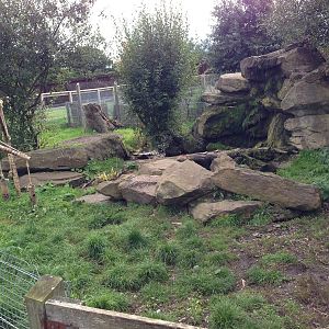Otter Enclosure at Blue Planet Aquarium - 05/10/2013