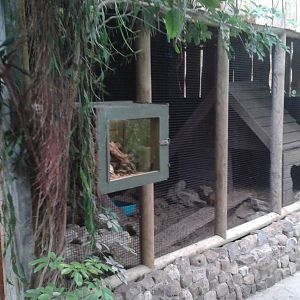 Armadillo enclosure