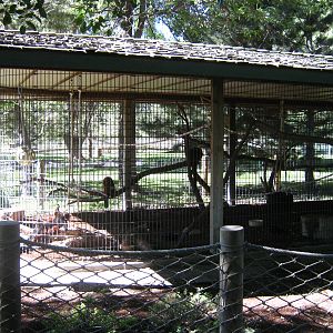 Lee Richardson Zoo