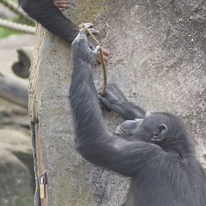 At the termite mound