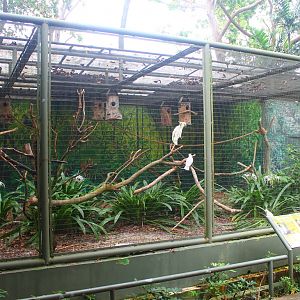 Parrot Paradise - "Critically Endangered" aviary