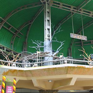 Waterfall Aviary theming works