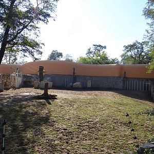 Fragment of the paddock Rhinoceros unicornis