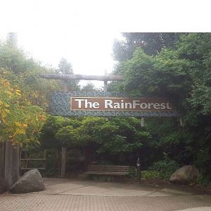 Oct. 2013 - The RainForest - Trail Entrance