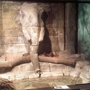 Oct. 2013 - The RainForest - Reticulated Python Exhibit