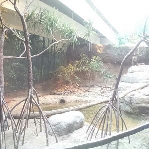 Oct. 2013 - The RainForest - Asian Small-clawed Otter Exhibit (Left Side)