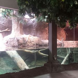 Oct. 2013 - The RainForest - Asian Small-clawed Otter Exhibit (Right Side)