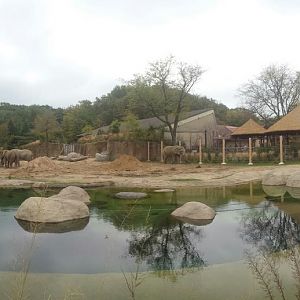 Oct. 2013 - African Elephant Crossing - Savanna Range Exhibit