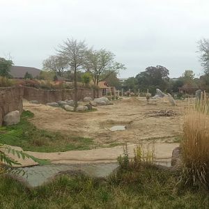 Oct. 2013 - African Elephant Crossing - Savanna Range