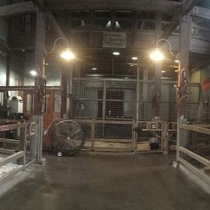 Oct. 2013 - Australian Adventure - Kookaburra Station