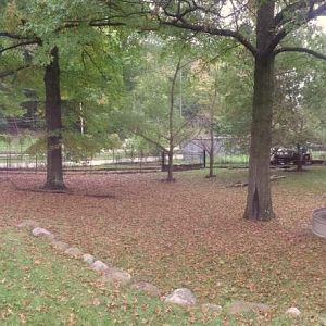 Oct. 2013 - Australian Walkabout - Wallaby Walkabout