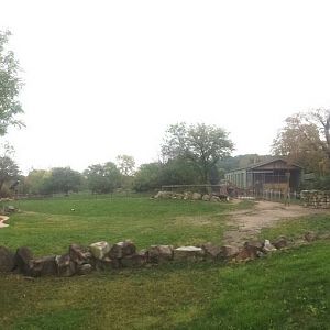 Oct. 2013 - African Savanna - First Savanna Exhibit