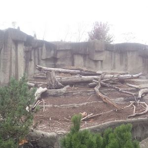 Oct. 2013 - Northern Trek - American Black Bear Exhibit