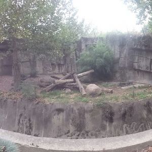 Oct. 2013 - Northern Trek - First Amur Tiger Exhibit