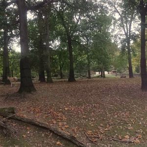 Oct. 2013 - Northern Trek - Persian Onager Exhibit