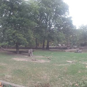 Oct. 2013 - Northern Trek - Persian Onager Exhibit