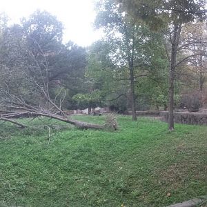 Oct. 2013 - Northern Trek - Reindeer Exhibit